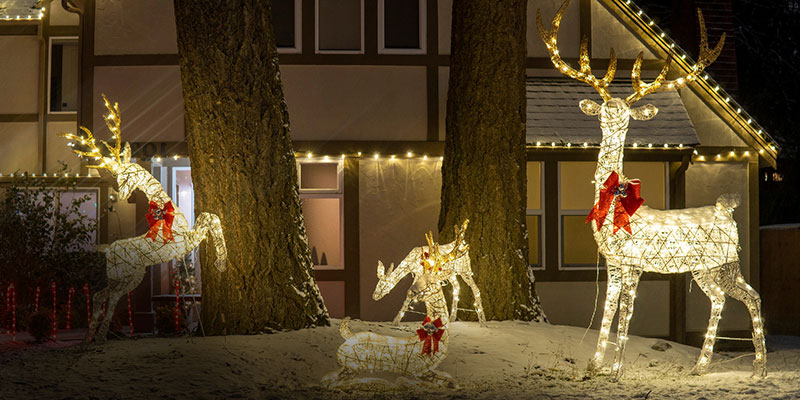 lighted deer decorations in a yard