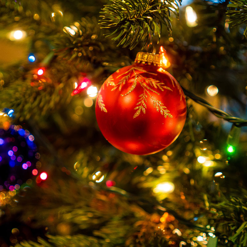 a red christmas ornament on a tree
